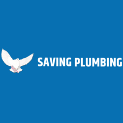 savingplumbpic